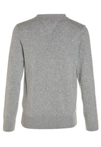 Grauer Strickpullover mit langen Ärmeln, rundem Halsausschnitt sowie gerippten Bündchen und Saum. Glatte Textur mit dezenten Nähten entlang des Rückens.