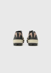 Adidas Terrex TERREX SKYCHASER - Fjellsko - trace brown/wonder alumina/semi flash aqua