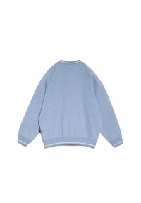 Felpa azzurra chiaro con maniche raglan, collo e polsini a coste. Presenta righe bianche a contrasto sui polsini e sull'orlo. Tessuto morbido.
