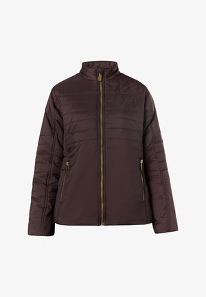 Smeđi, podstavljeni kaput s visokim ovratnikom, zlatnim zatvaračem i bočnim džepovima. Ima vertikalne i horizontalne detalje šavova tijekom cijelog kaputa.