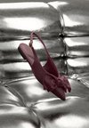 FESTIVE PILLOWWALK FLEX - Slingback ballerina´s - bordo