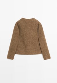 Brown long-sleeve fuzzy sweater with a round neckline, displayed flat on a white background, showing the back side.