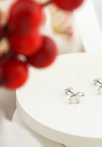 Silvriga örhängen i form av elefanter på en rund vit display. Strukturerad yta med säkra baklåsgångar. Röda bär delvis synliga.