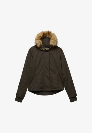 Bench, BENCH X SUPERDRY & CO BENCH FAUX FUR HOODED WINDCHEATER JACKET - Übergangsjacke - black olive dune