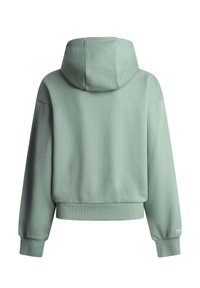 Sudadera holgada de color verde claro con puños y cinturilla acanalados, mostrada desde atrás con una gran capucha y un ajuste suelto.