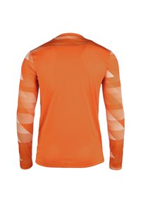 Nike Performance Langarmshirt - orange