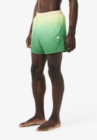 Costumi da bagno verde sfumato con cintura elastica, caratterizzati da un piccolo logo Lacoste giallo sul lato sinistro. Tessuto liscio con un taglio classico.