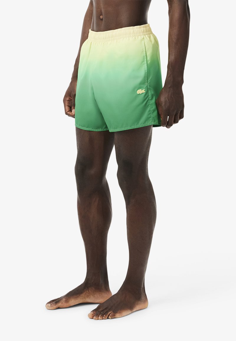 Costumi da bagno verde sfumato con cintura elastica, caratterizzati da un piccolo logo Lacoste giallo sul lato sinistro. Tessuto liscio con un taglio classico.