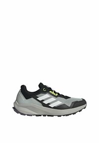 adidas Performance TRAILRIDER TRAIL - Zapatillas de trail running - silver crystal white dgh solid grey