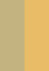 cool gold / daring gold