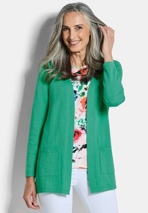 VERSCHLUSSLOSER AUS - Gilet - green