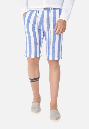 Pantaloni corti in lino a righe blu e bianche con vita regolabile, dotati di tasche con zip e vestibilità comoda, abbinati a scarpe grigie slip-on.