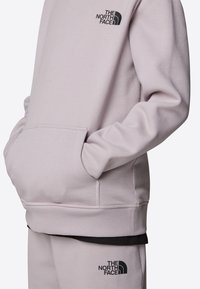 The North Face REGULAR - Sweat à capuche - moonstone grey