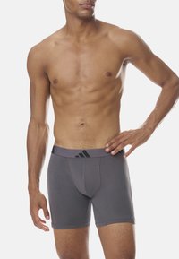 Boxers gris avec une large ceinture élastique ornée d'un logo noir. Fabriqués à partir d'un tissu lisse, ils offrent une coupe ajustée et un design simple.