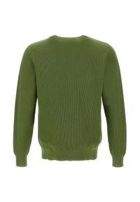 Maglione verde a maglia con maniche lunghe, polsini e orlo a coste. Motivo testurizzato su tutta la stoffa, visualizzato dalla vista posteriore.