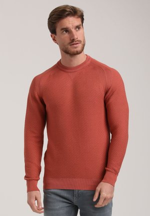 Rust-colored knit pullover with a textured surface, ribbed crew neckline, and long sleeves. It features a fitted design and elastic cuffs.