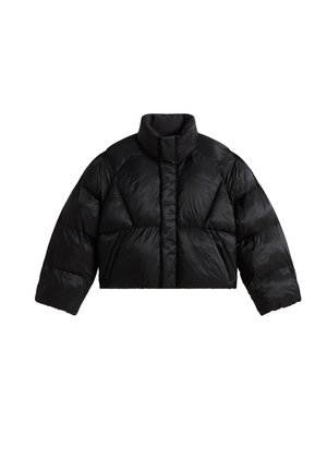 Vans, PUFFER. - Veste d'hiver - black