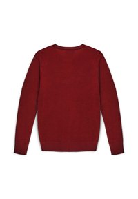 Roter Strickpullover, Rundhalsausschnitt, lange Ärmel, gerippte Bündchen und Saum, strukturierter Stoff mit einem subtilen Melange-Muster, einfarbiger roter Rücken.