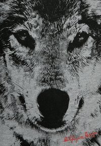 T-shirt grafico nero e grigio con un'illustrazione dettagliata di un volto di lupo, con texture a linee sottili e una firma rossa in fondo.