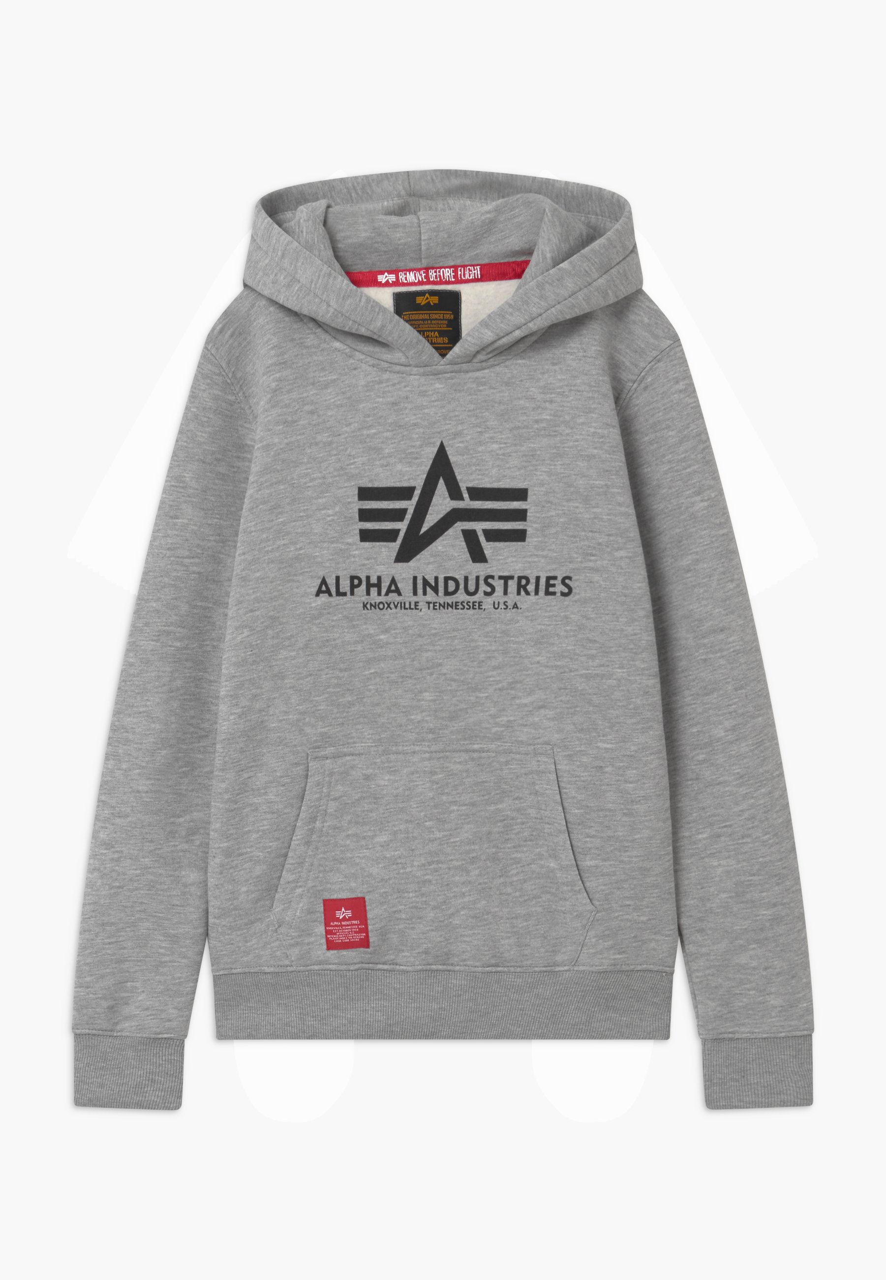 Alpha Industries HOODY KIDS TEENS UNISEX Hoodie grey