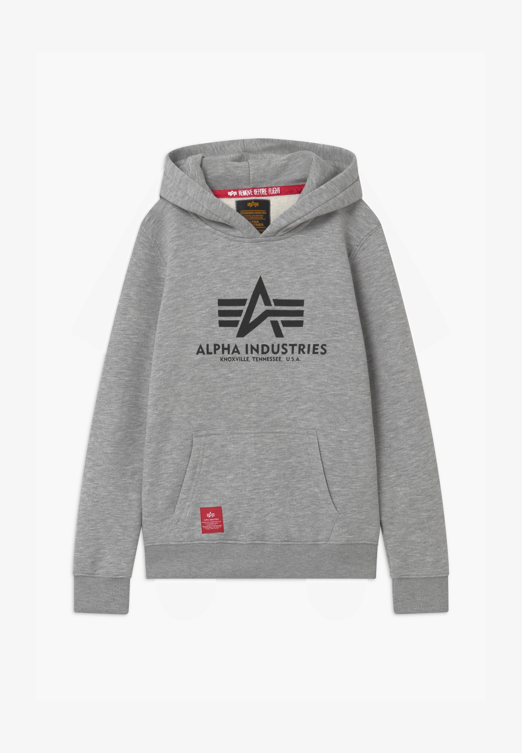 Alpha Industries HOODY KIDS TEENS UNISEX Hoodie grey
