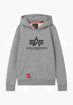 HOODY KIDS TEENS UNISEX - Džemperis su gobtuvu - grey