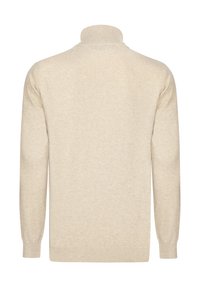 Beige gestrickter Pullover mit hohem Kragen, langen Ärmeln und gerippten Bündchen. Weiche Textur und eine einfarbige Gestaltung ohne Muster oder Verzierungen.