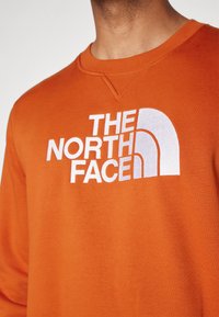 The North Face M DREW PEAK REGULAR CREW - Mikina - earthen copper