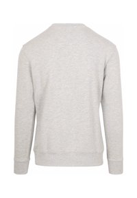 Lichtgrijze sweatshirt met lange mouwen, gezien vanaf de achterkant, met een ronde hals en geribbelde manchetten en zoom.