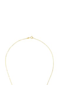 Guldhalsband med en delikat design med cirkulära länkar och en lobster clasp-stängning. Slät textur med en polerad yta.