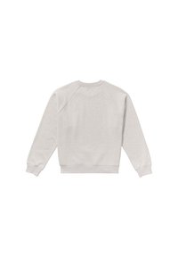 Sweatshirt gris clair avec un col ras du cou, des manches raglan et des poignets et un ourlet côtelés. Fabriqué en tissu doux et texturé.