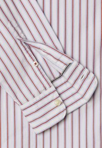 Valge põhivärviga triibuline särk, millel on sinised ja punased vertikaalsed triibud. Omab nööpidega mansette, pehmet kangast ja kontrastseid sisemisi detaile.