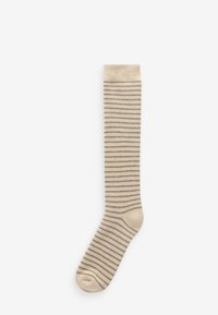 Next 2 PACK - REGULAR FIT - Kniekousen - neutral