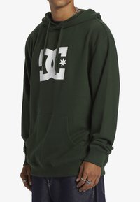 DC Shoes STAR PH - Jersey con capucha - gzh0 mountain view