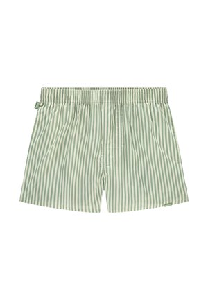 STRIPED - Boksershorts - green