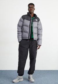 The North Face M SAIKURU JACKET - Zimska jakna - smoked pearl