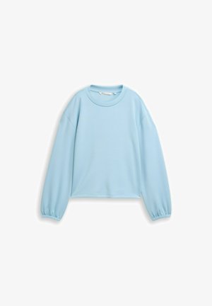 Hellblaues Sweatshirt mit Rundhalsausschnitt und langen Ärmeln, elastischen Bündchen, vor weißem Hintergrund gezeigt.