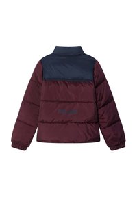 Pepe Jeans CASH - Zimná bunda - compote purple