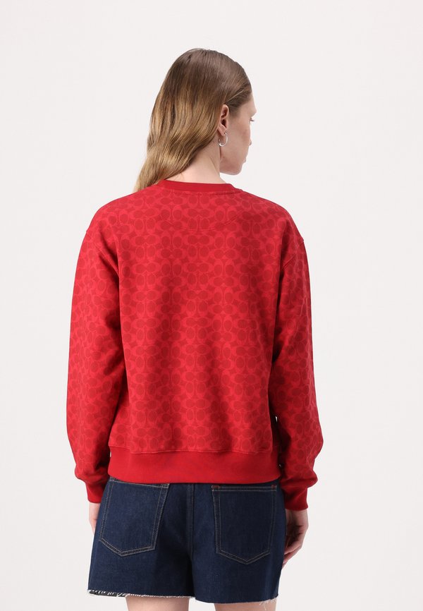 SIGNATURE PEGASUS - Sweatshirt3