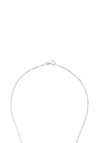 Collana in argento con un delicato design intrecciato, dotata di chiusura a moschettone e maglie sottili. La lunghezza complessiva è regolabile.