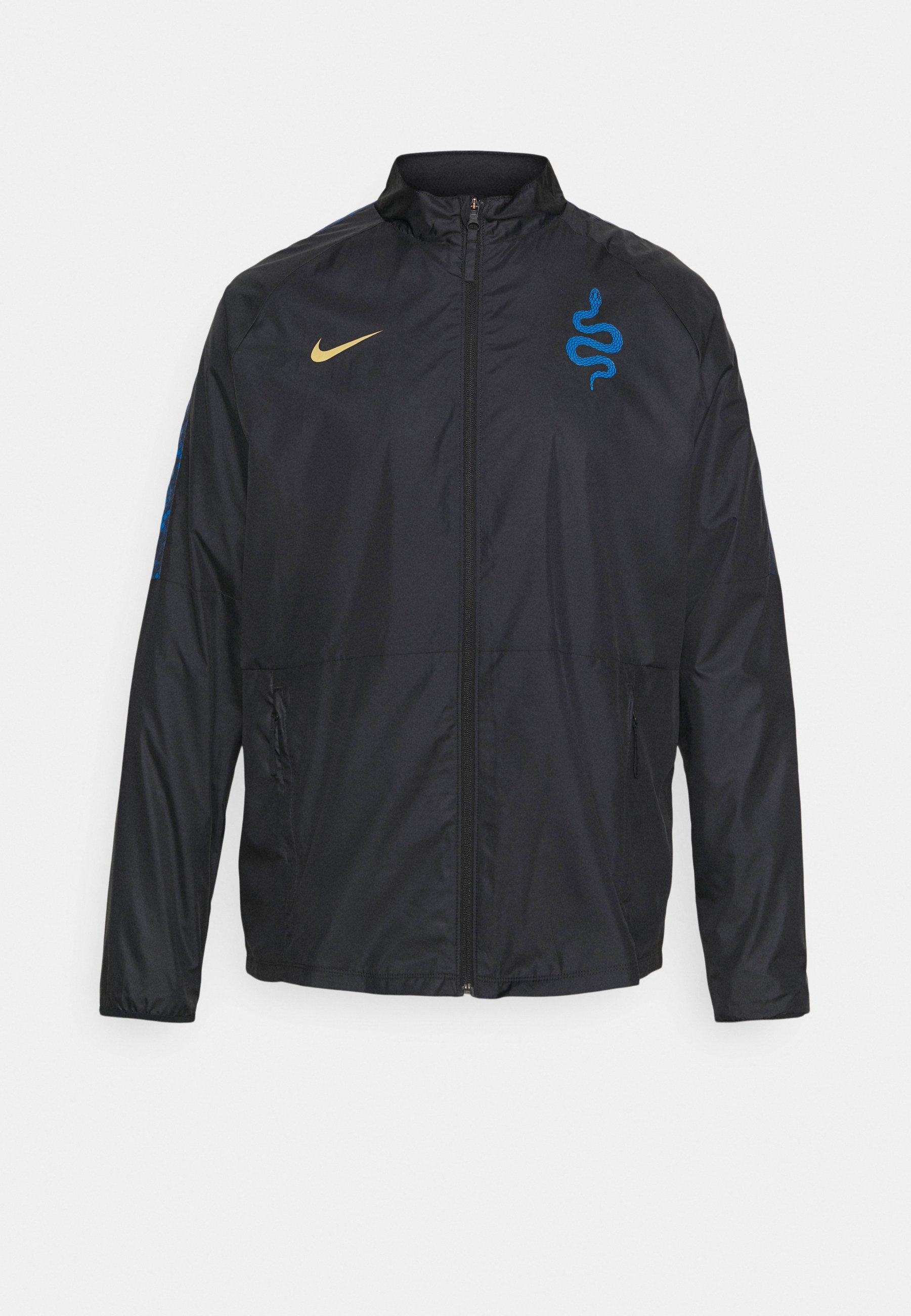 Nike Performance INTER MAILAND DRY 