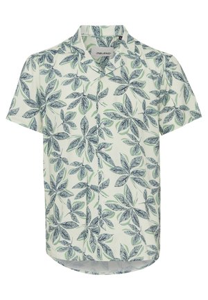 Īsām piedurkņu krekls, kas izgatavots no viegla auduma, ar zaļu un zilu lapu rakstu uz gaiša fona. Ar pogu aizdari priekšā.