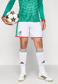 Camisola verde de manga longa com padrão geométrico, calções brancos com borda vermelha, meias às riscas pretas e brancas, e chuteiras brancas segurando uma bola de futebol.