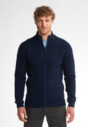 Mann mit lockigem Haar, der einen marineblauen Pullover mit Reißverschluss über einem hellblauen Hemd trägt, vor einem schlichten weißen Hintergrund steht.