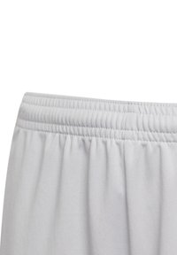 adidas Performance SQUADRA 21 Y - Korte broeken - grauweiss