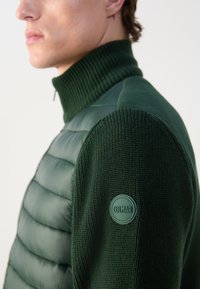 Colmar Originals MENS JACKET - Lagana jakna - bottle