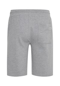 Blend BHSWEATSHORTS SLIM FIT - Spodnji deli trenirk - stone mix