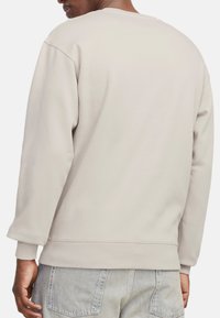 Felpa grigia chiara con maniche lunghe, polsini a costine e scollatura rotonda, realizzata in morbido tessuto misto cotone. Design minimalista.