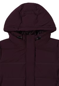 Giacca a vento bordeaux con cappuccio removibile, dotata di un colletto alto, pannelli cuciti e una superficie liscia e resistente all'acqua.