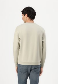 Felpa grigia chiara con collo a giro, maniche lunghe e polsini e orlo a coste. Indossata con jeans blu medio, che mostrano un design semplice.